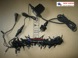 100 led LED String Light