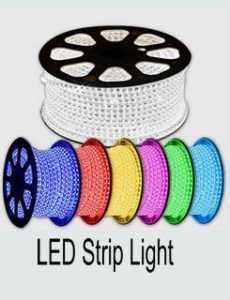 Line voltage 220v 120V Led flexible Strip light